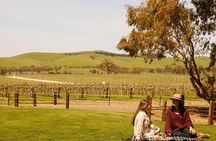 Romantic Vineyard Horse Riding and Picnic