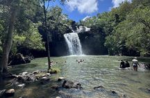 Airlie Beach: 3-hour Cedar Creek Small-Group Eco Half-Day Tour
