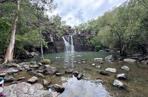 Airlie Beach: 3-hour Cedar Creek Small-Group Eco Half-Day Tour