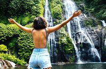 Ubud Private Tour: Waterfalls, Temple and Rice Terraces Swing