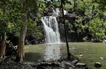 Airlie Beach: 3-hour Cedar Creek Small-Group Eco Half-Day Tour