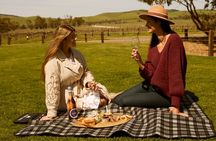 Picnic and Wine Tasting Experience in the Barossa Valley