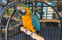 Airlie Beach: Sightseeing Bus Tour (Cruise-Ship Friendly)