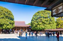 Tokyo in a Day Walking and Metro Tour with Licensed Guide