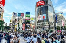 Tokyo in a Day Walking and Metro Tour with Licensed Guide