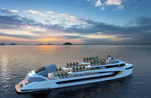 Dolphin Luxury Day Cruise: Discover the Best of Halong Bay 