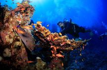 8 Dives by Boat or by Shore