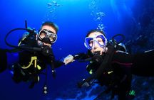 3 Dives by Boat or by Shore