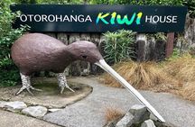 Hobbiton, Waitomo Caves and Kiwi House Day Tour From Auckland