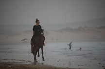 2 Hour Horseback Adventure in Essaouira