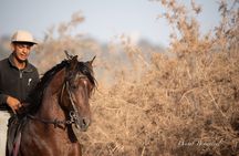 2 Hour Horseback Adventure in Essaouira