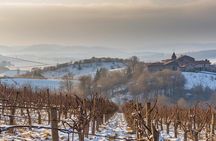 Milan: Winter in Oltrepò Pavese Taste & Bottle Your Own