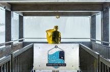 Niagara Falls Tour: Boat Cruise, Journey Behind Falls and Skylon