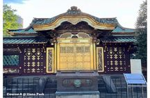 Tailored Tokyo private Tour with a Local Guide (10:00〜)