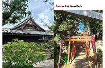 Tailored Tokyo private Tour with a Local Guide (10:00〜)