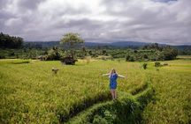 Tanah Lot Temple & Coastal Sunset Tour