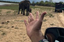 Yala Safari Day Tour