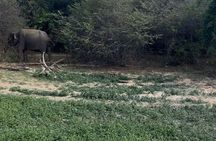 Yala Safari Day Tour