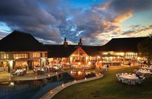 3 Days Ivory Tree Game Lodge Safari from Johannesburg OR Tambo