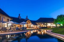 3 Days Ivory Tree Game Lodge Safari from Johannesburg OR Tambo