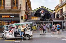 Barcelona Expert Plus Tour in Private Eco Tuk Tuk
