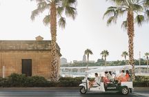 Expert Tour of Malaga in Private Eco Tuk Tuk