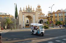Seville Expert Tour in Eco Tuk Tuk Private with Local Guide