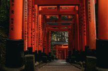 Crowd-Free Kyoto: Fushimi Inari, Nijo Castle & Kinkaku-ji
