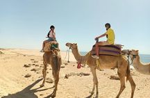Guided Tour in Dahkla with Quad and Camel Ride