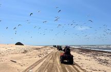 Guided Tour in Dahkla with Quad and Camel Ride