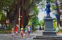 Port Louis: Street Food & City Highlights Walking Tour