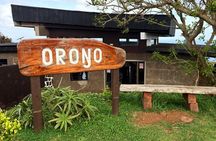 Birdman Ceremonial Route: Orongo, Ranu Kau Half-Day Tour 