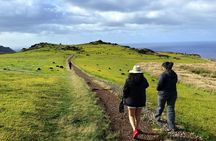 Birdman Ceremonial Route: Orongo, Ranu Kau Half-Day Tour 