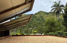 Sueños de Cafe - A Coffee Lovers Dream 