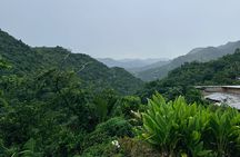 Sueños de Cafe - A Coffee Lovers Dream 