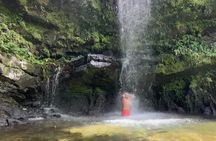 Sueños de Cafe - A Coffee Lovers Dream 