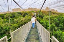 Aviary Tour and Tricao Park with Tasting in Undurraga Vineyard