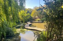 Aviary Tour and Tricao Park with Tasting in Undurraga Vineyard