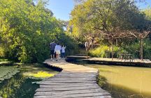 Aviary Tour and Tricao Park with Tasting in Undurraga Vineyard