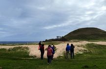 Journey of the Ancestors: Tongariki, Rano Raraku & Anakena Beach