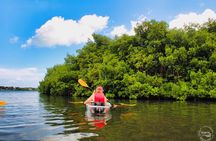 Clear Kayak Tour in Mangrove Antigua