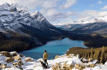 Winter 5 Days- Banff, Yoho, Icefields, Canyon & Gondola