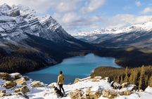 Lake Minnewanka, Peyto Lake, Bow Lake , Icefields