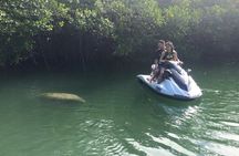 Key Largo Dolphin Jetski Tour for 2 