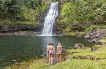 Private - All Inclusive Big Island Waterfalls Tour