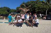 Discover the magic of Key West: book your experience today!