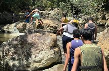 Private El Yunque Rainforest Tour And Brunch At The Beach