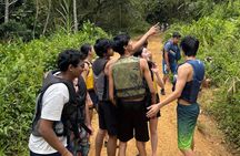 Private El Yunque Rainforest Tour And Brunch At The Beach