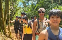 Private El Yunque Rainforest Tour And Brunch At The Beach