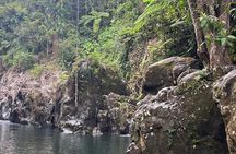 Private El Yunque Rainforest Tour And Brunch At The Beach